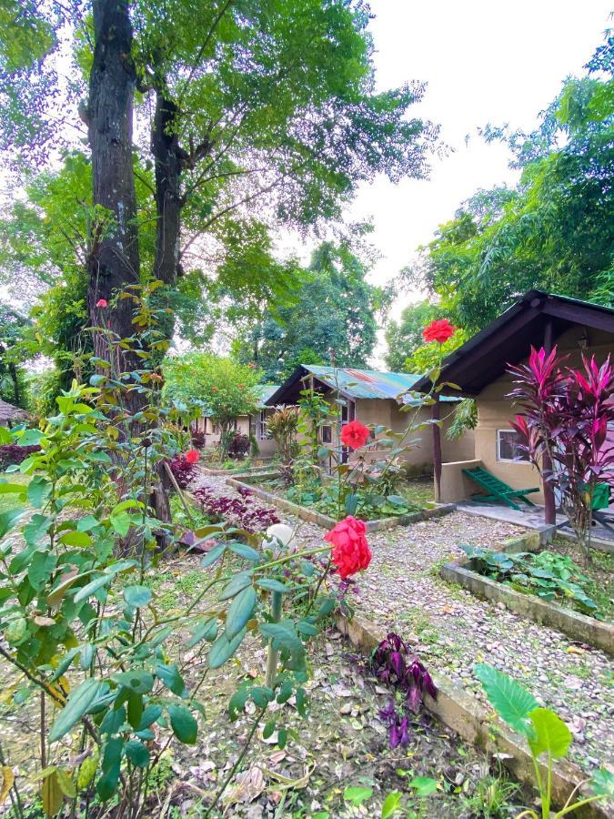 Nature Safari Camp Chitwan Esterno foto