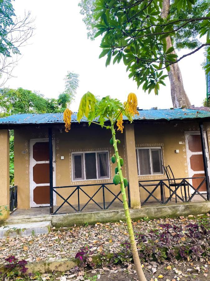 Nature Safari Camp Chitwan Esterno foto